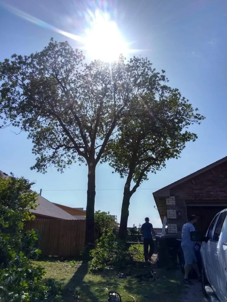 Trusted outdoor landscaping near you across Lawton, OK - Nunn Tree Service