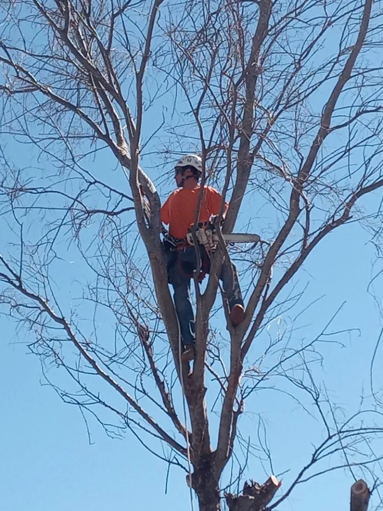 Custom landscaping services in Lawton, OK by Nunn Tree Service