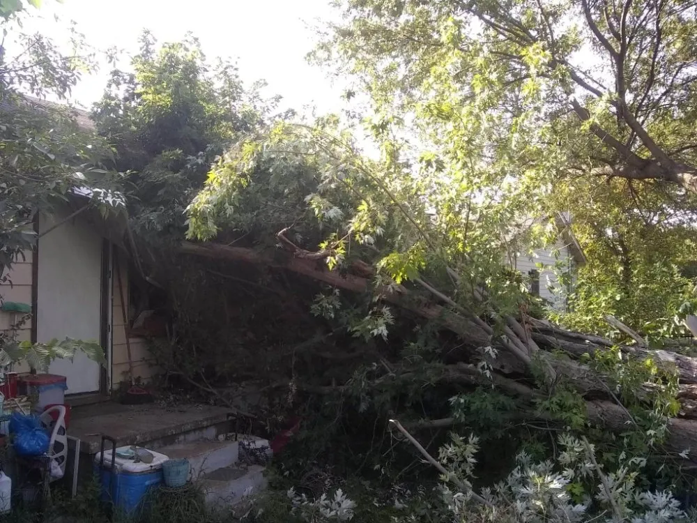 Professional garden landscaping in Lawton, OK by Nunn Tree Service