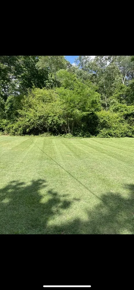 Expert landscaping services in Oakwood, GA by Nunnery Lawn Care