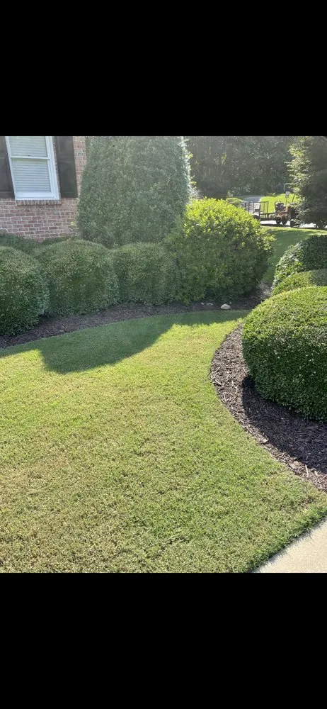 Affordable outdoor landscaping for year-round maintenance across Oakwood, GA - Nunnery Lawn Care