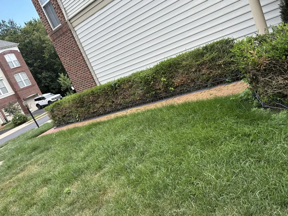 Custom lawn mowing service in Manassas, VA - Nur’s Landscaping