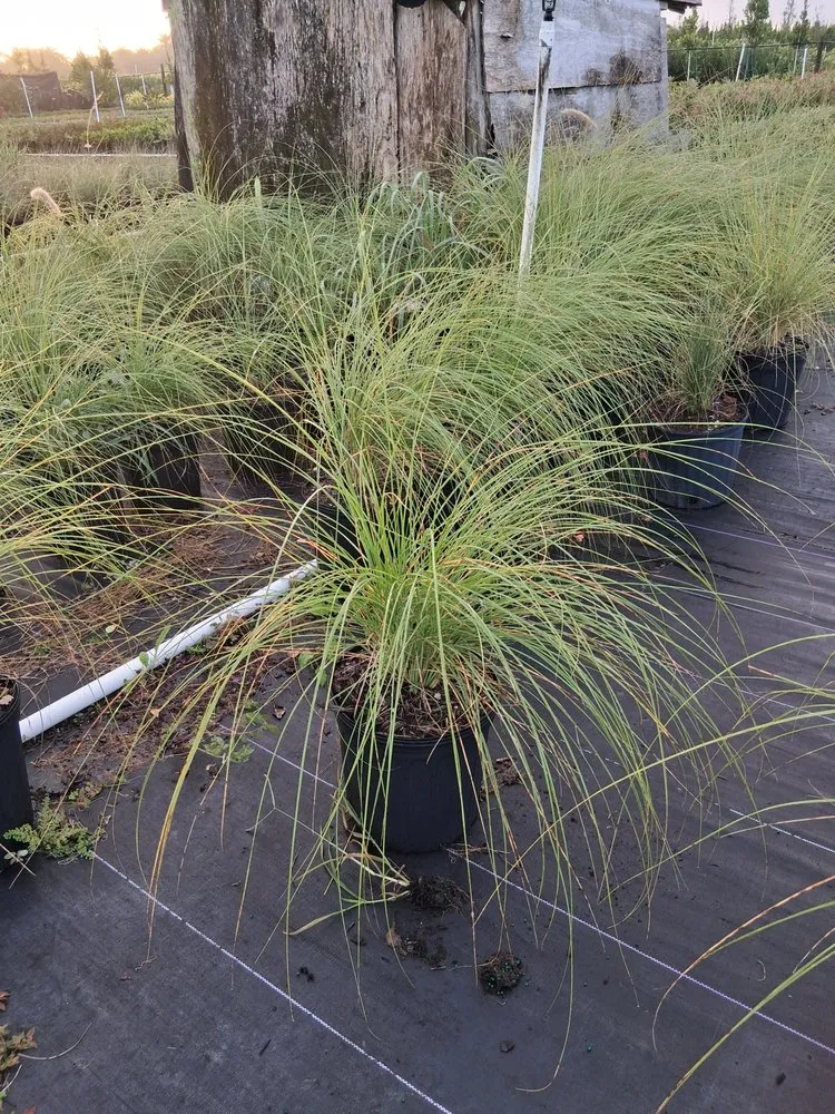 Custom lawn mowing service in Richmond West, FL - Nursery & Landscaping Balta