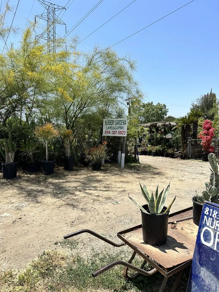 Expert residential landscaping in Northridge, CA - Nursery Gardenia