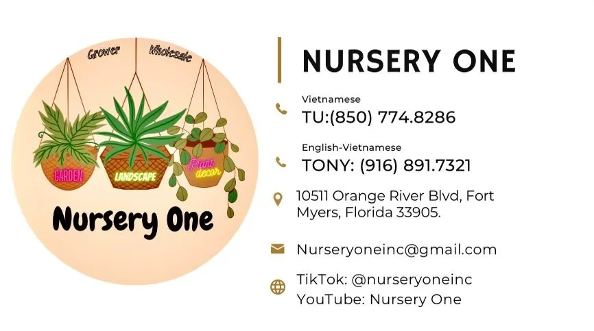 Reliable outdoor landscaping experts serving Tice, FL - Nursery One