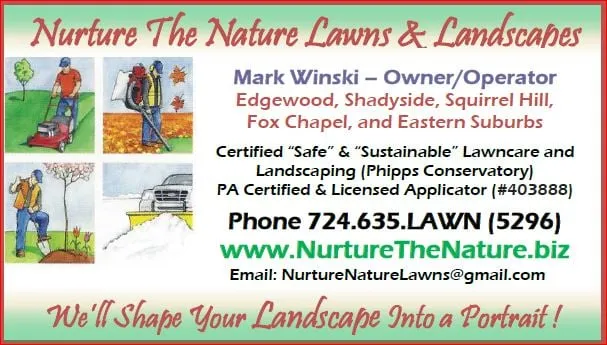 Custom yard cleanup service experts serving New Kensington, PA - Nurture the Nature Lawns and Landscapes