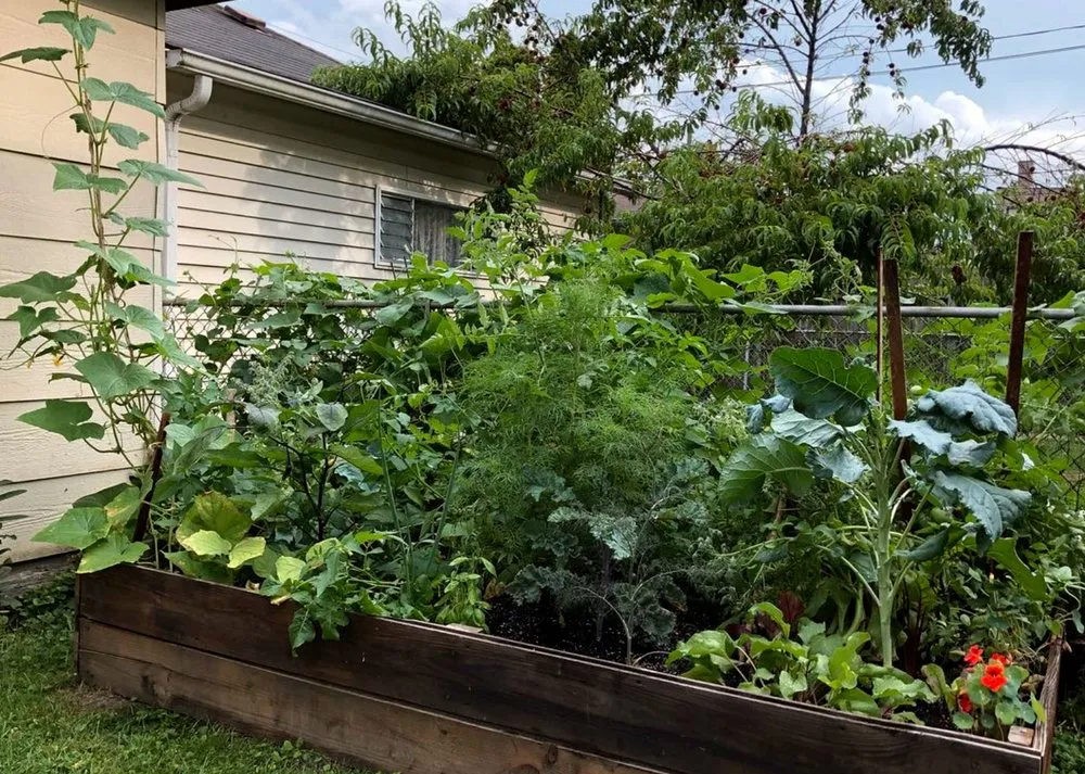 Expert landscape installation for outdoor upgrades across Chicago, IL - Nurtured Roots Gardening