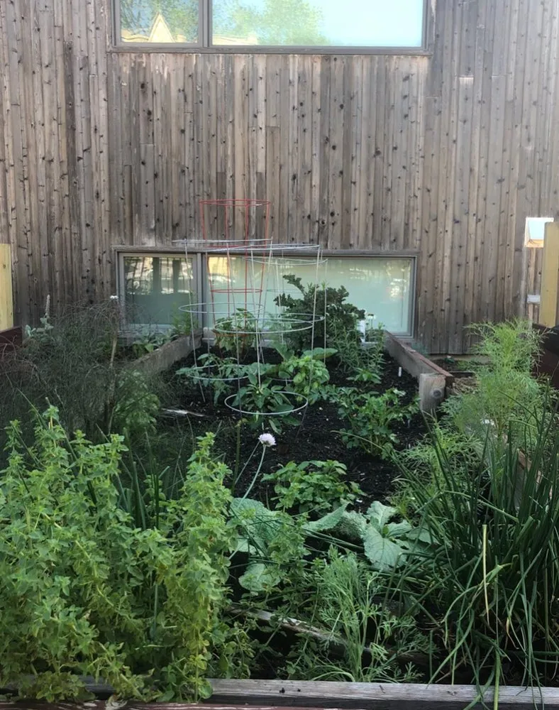 Custom landscape design in Chicago, IL by Nurtured Roots Gardening