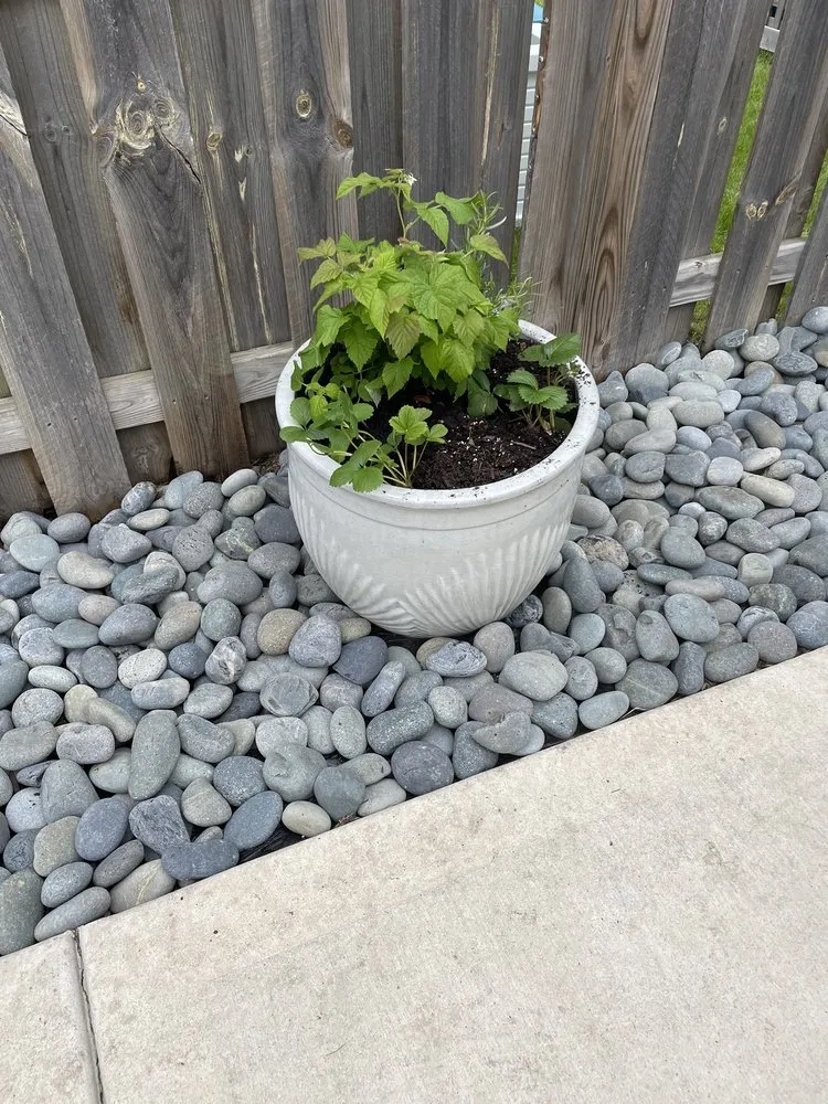 Trusted yard maintenance in Chicago, IL by Nurtured Roots Gardening