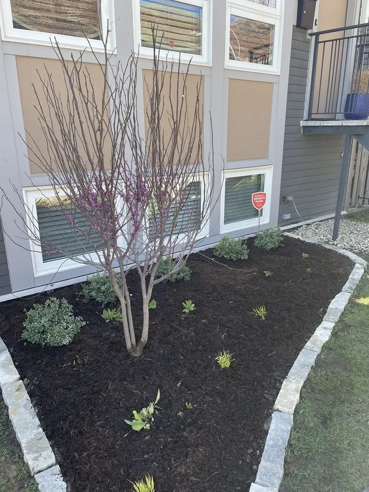 Local yard cleanup service for residential properties across Chicago, IL - Nurtured Roots Gardening