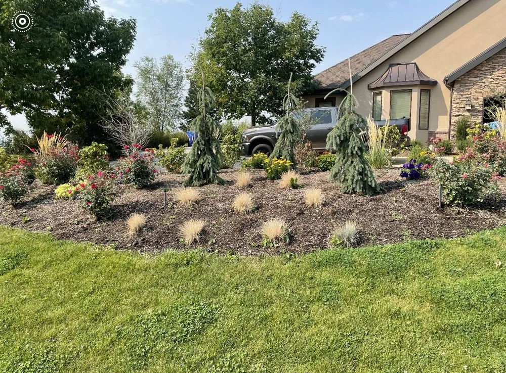 Affordable landscaping services in Roy, UT - NUscapes