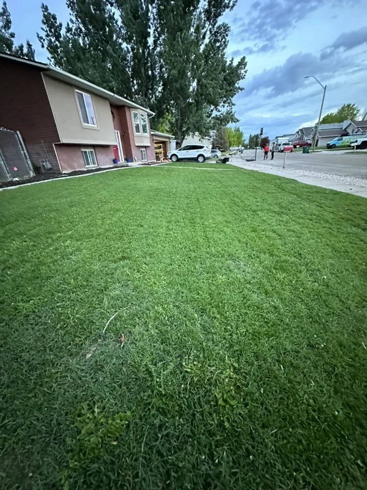 Top-rated outdoor landscaping in Roy, UT by NUscapes