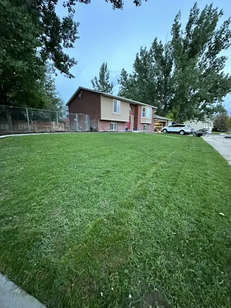 Affordable yard cleanup service experts serving Roy, UT - NUscapes