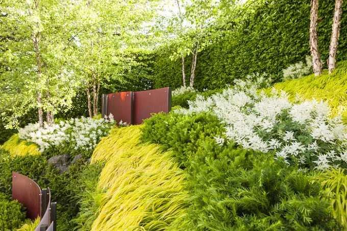 Reliable garden landscaping with custom design in Redmond, WA by Nussbaum Group