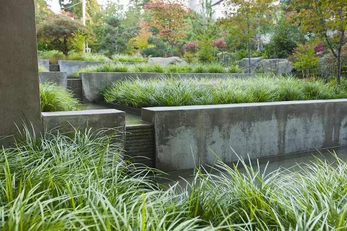 Reliable yard maintenance in Redmond, WA by Nussbaum Group