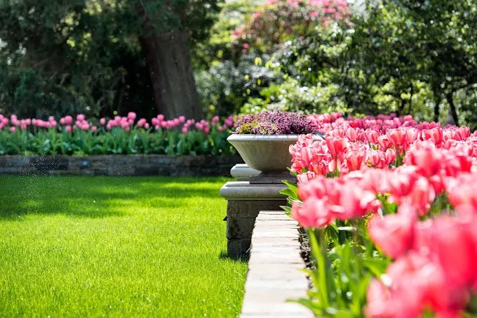 Affordable residential landscaping experts serving Redmond, WA - Nussbaum Group