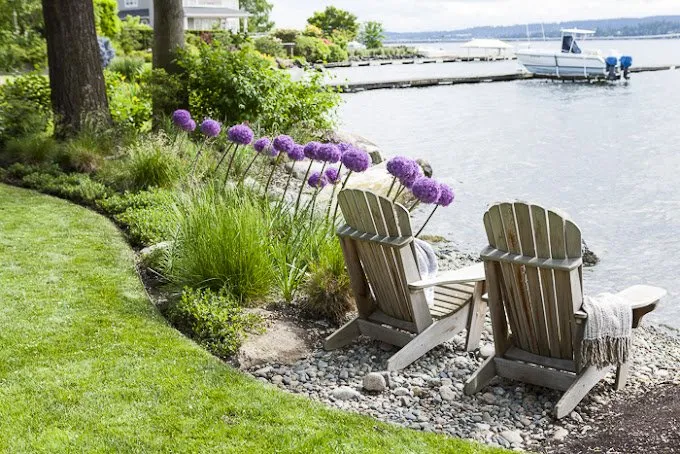 Top-rated yard cleanup service in Redmond, WA - Nussbaum Group