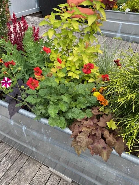 Top-rated outdoor landscaping for year-round maintenance across Asheville, NC - Nuthatch Garden Services