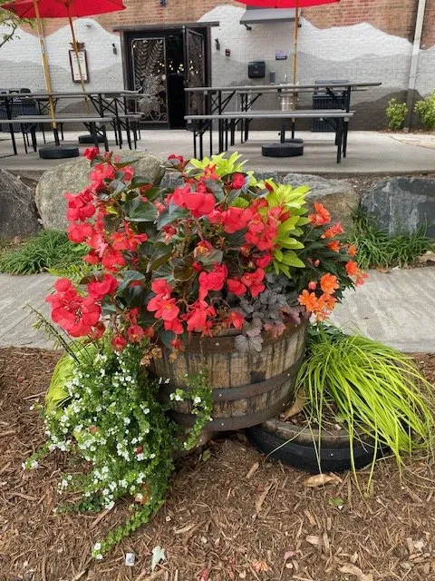 Affordable residential landscaping with custom design across Asheville, NC - Nuthatch Garden Services