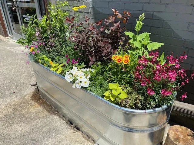 Trusted lawn mowing service in Asheville, NC by Nuthatch Garden Services