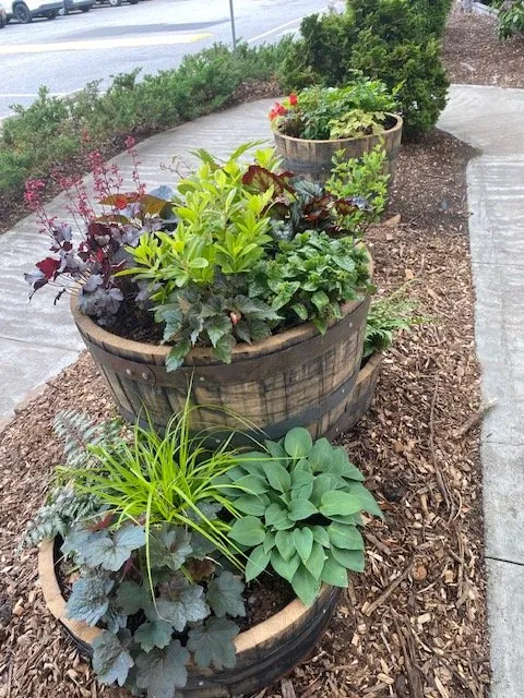 Custom yard cleanup service near you across Asheville, NC - Nuthatch Garden Services