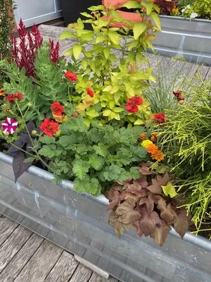 Nuthatch Garden Services Logo