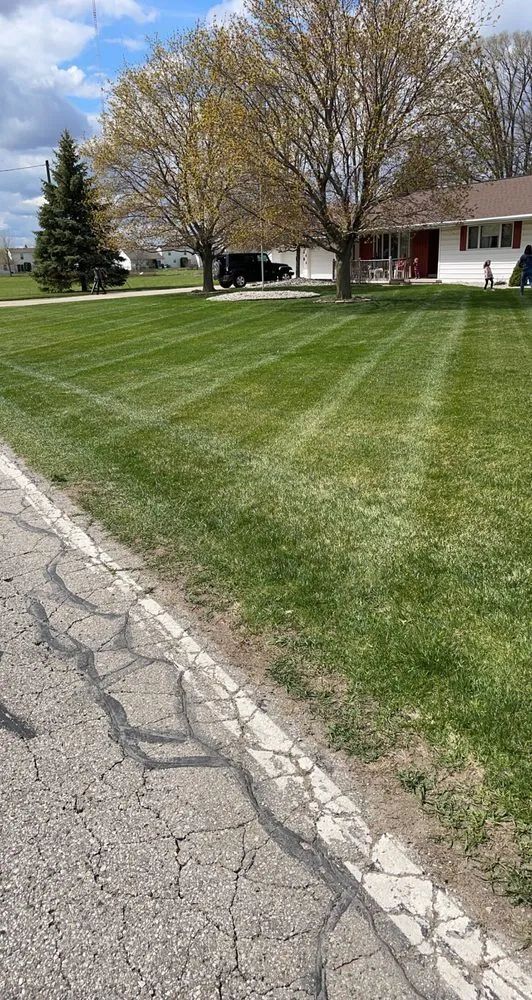 Top-rated yard cleanup service in Saginaw, MI by Nutlouis & Son’s Services