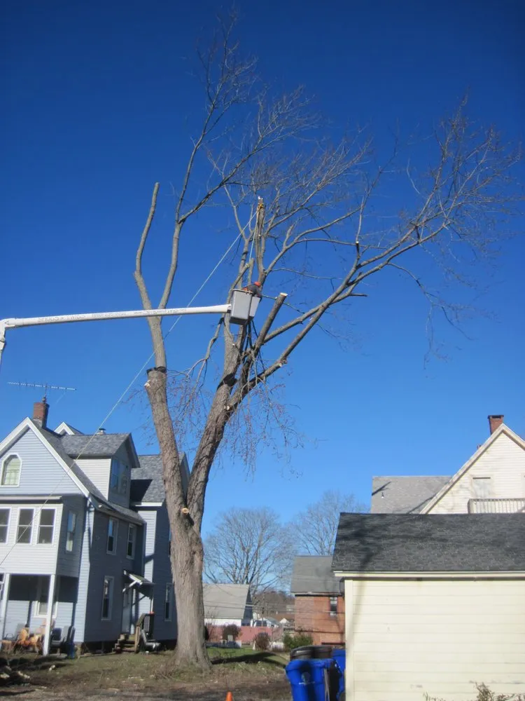 Reliable yard maintenance in Middletown, CT - Nutmeg Tree Service & Ground Care