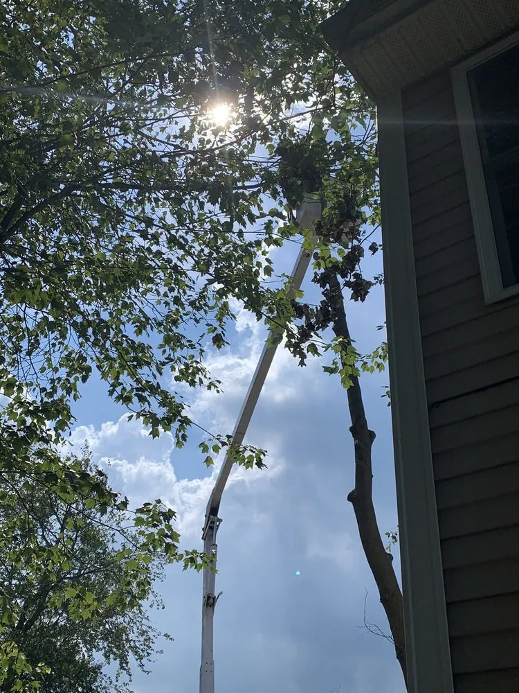 Trusted landscaping services in Middletown, CT by Nutmeg Tree Service & Ground Care