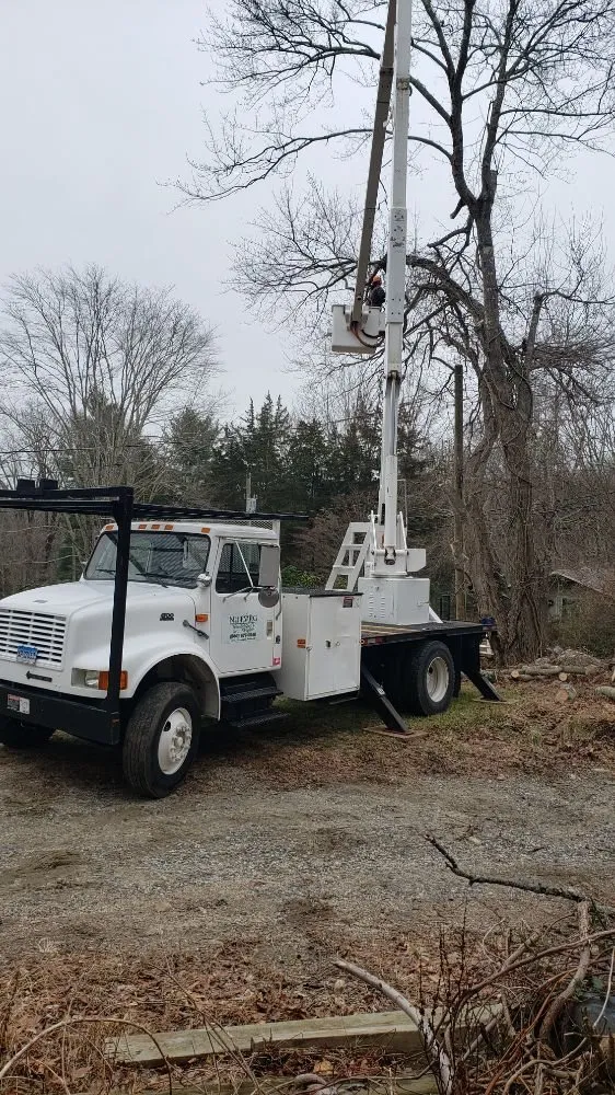 Top-rated landscape installation for homes in Middletown, CT by Nutmeg Tree Service & Ground Care