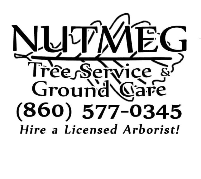 Professional landscape installation with custom design across Middletown, CT - Nutmeg Tree Service & Ground Care