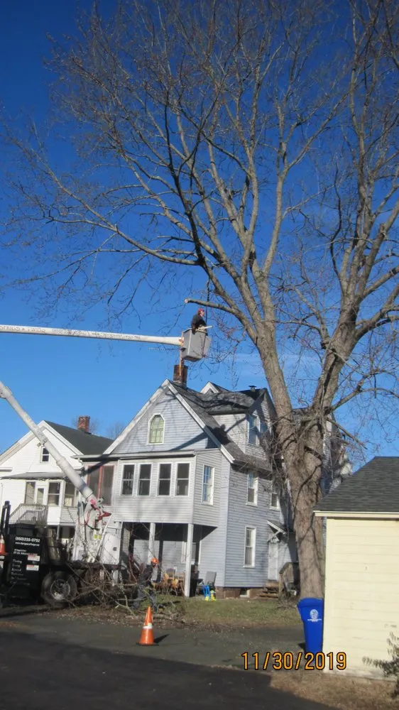 Local landscape installation for outdoor upgrades in Middletown, CT by Nutmeg Tree Service & Ground Care