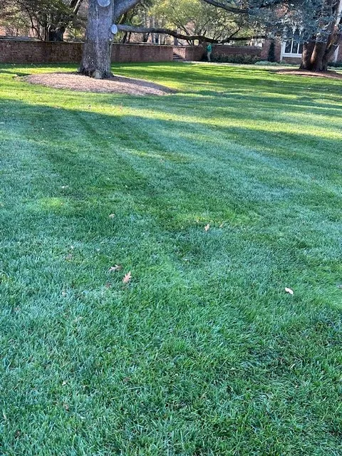 Expert outdoor landscaping in Phoenixville, PA - Nutri Green Fertilization