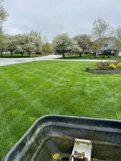 Expert yard maintenance in Phoenixville, PA - Nutri Green Fertilization