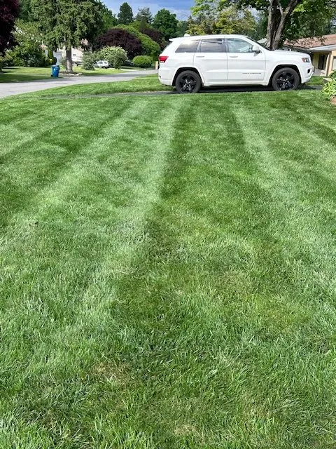 Local landscaping services in Phoenixville, PA by Nutri Green Fertilization