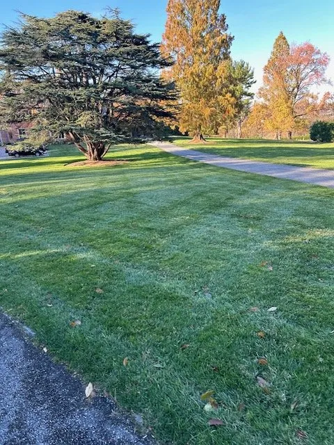 Expert lawn mowing service experts serving Phoenixville, PA - Nutri Green Fertilization