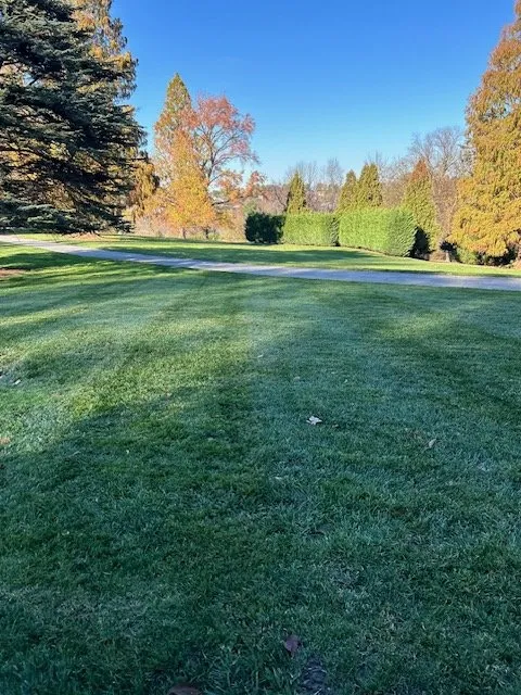 Reliable lawn care service for year-round maintenance across Phoenixville, PA - Nutri Green Fertilization