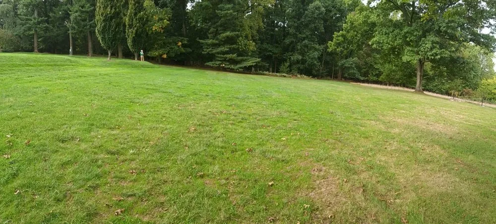 Trusted yard cleanup service for homes across Phoenixville, PA - Nutri Green Fertilization