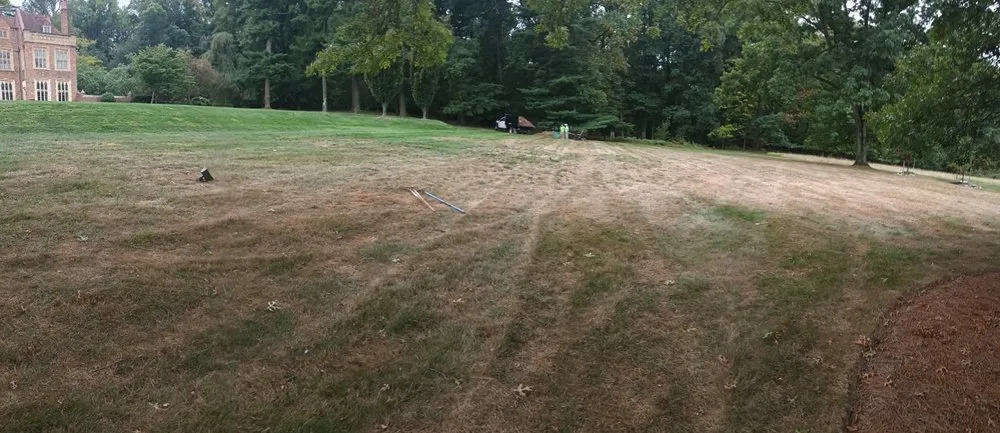 Professional landscape design for year-round maintenance in Phoenixville, PA by Nutri Green Fertilization