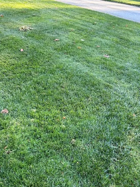 Reliable outdoor landscaping for outdoor upgrades in Phoenixville, PA by Nutri Green Fertilization