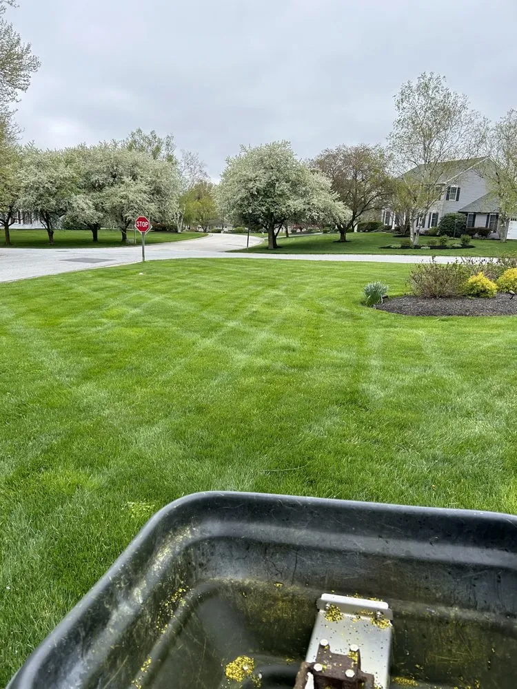 Local yard cleanup service in Phoenixville, PA by Nutri Green Fertilization
