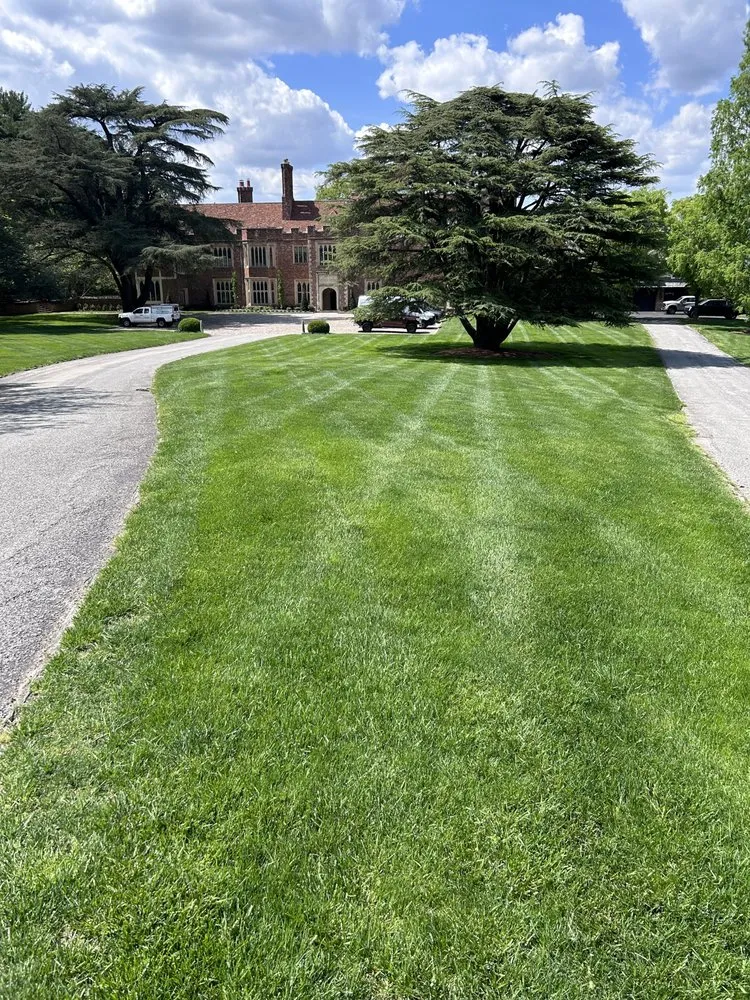 Affordable landscape design experts serving Phoenixville, PA - Nutri Green Fertilization