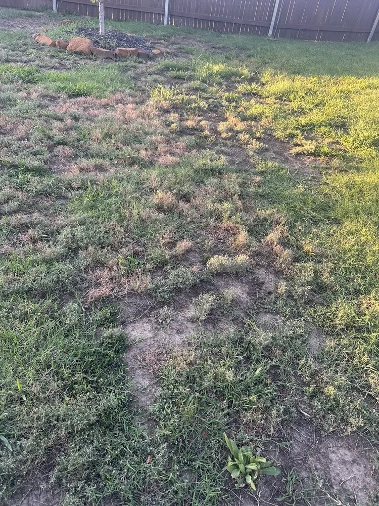 Custom landscape design experts serving Tulsa, OK - Nutri-Green Lawn Care