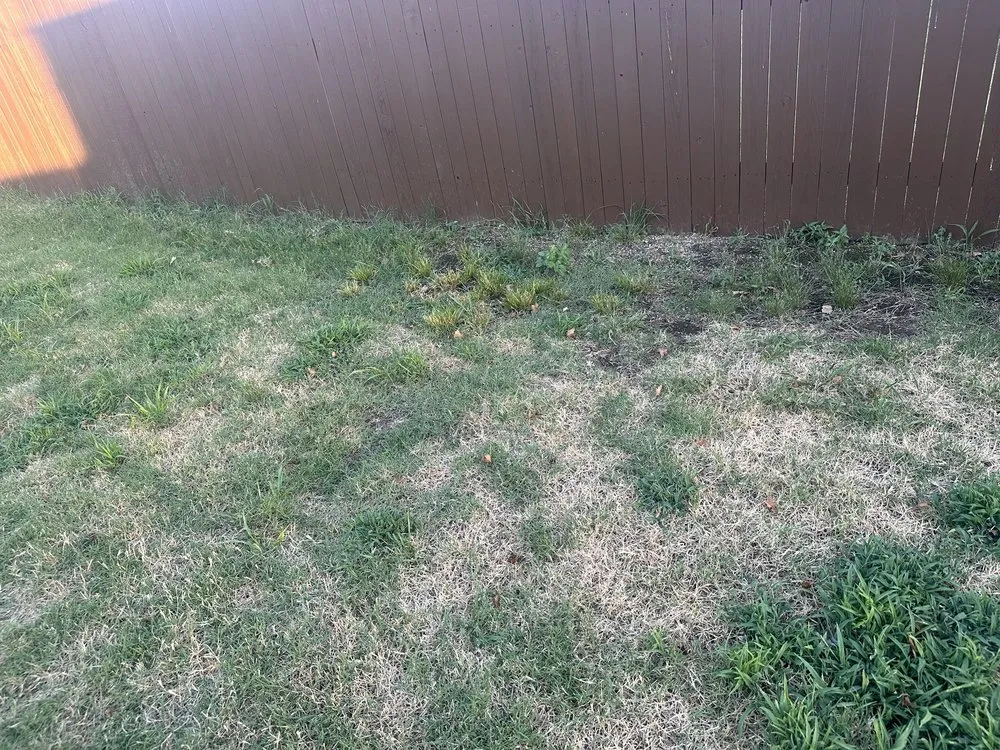 Trusted yard maintenance in Tulsa, OK by Nutri-Green Lawn Care