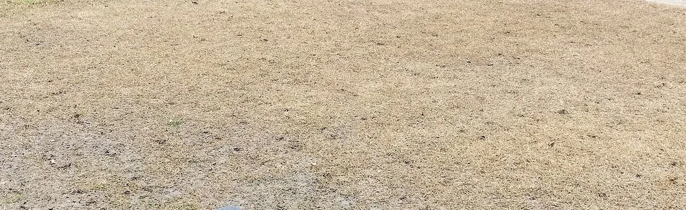 Expert garden landscaping in Tulsa, OK - Nutri-Green Lawn Care