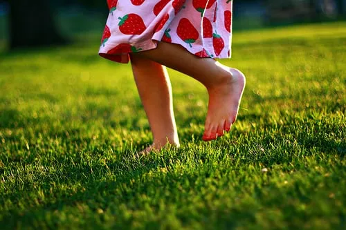 Affordable yard maintenance in Tulsa, OK - Nutri-Green Lawn Care