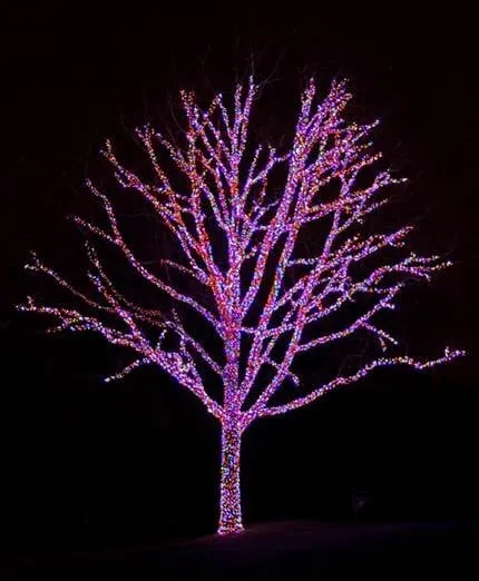 Professional yard cleanup service for homes in Tulsa, OK by Nutri-Green Lawn Care