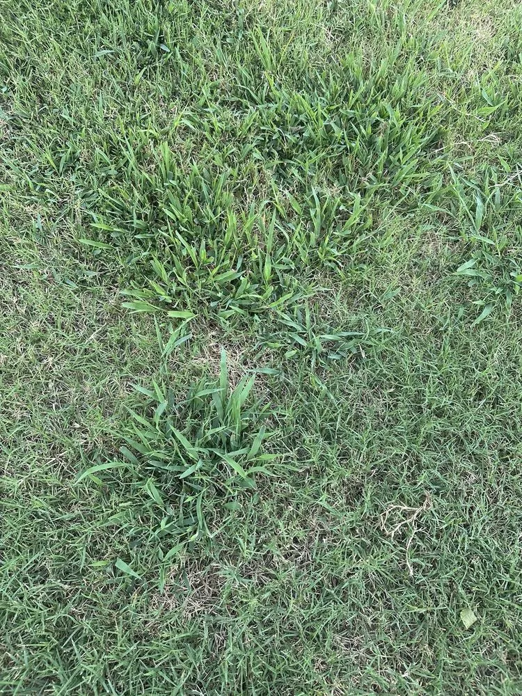 Reliable landscaping services in Tulsa, OK by Nutri-Green Lawn Care