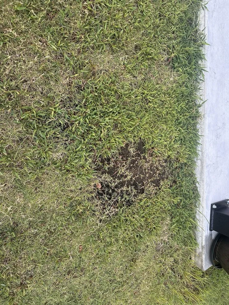 Expert lawn care service in Tulsa, OK - Nutri-Green Lawn Care