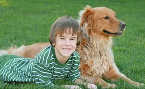 Top-rated landscape design in Tampa, FL by Nutrilawn